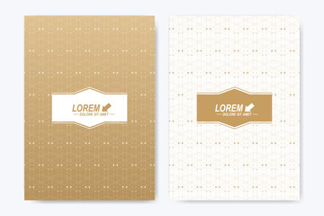 Modern vector template for brochure Leaflet flyer advert cover magazine or annual report. A4 size. Business, science, medical design book layout. Golden cybernetic dots. Lines plexus. Card surface.