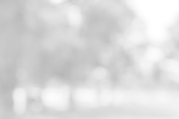 White blurred abstract background / grey abstract background. soft backdrop of nature abstract background. used for wallpaper or background.