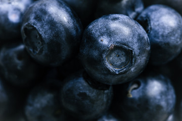 Fresh ripe pile of blueberries macro close up