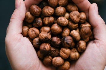Hands full of hazelnuts, close up, top view