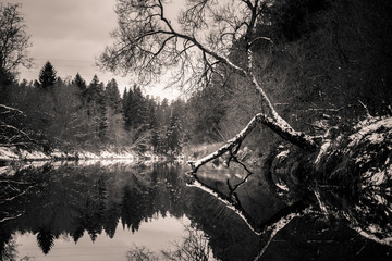 A beautiful monochrome winter scenery on the banks of river