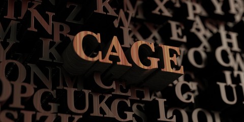 Cage - Wooden 3D rendered letters/message.  Can be used for an online banner ad or a print postcard.