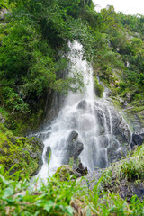Naklejka na ściany i meble waterfall in the forest in thailand