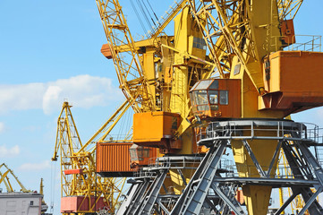 Port cargo crane