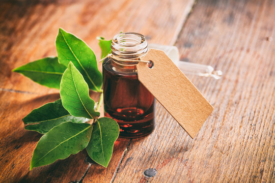Fresh bay laurel and oil on wooden background