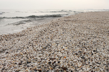 Winter beach of shells at black sea
