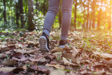 Women Sports Shoes and Meadows