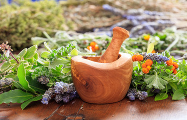 Variety of herbs and mortar on wooden background