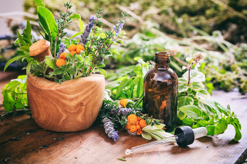 Variety of herbs and mortar on wooden background