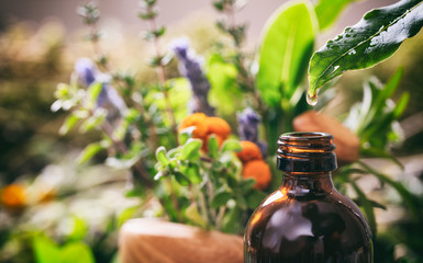 Variety of herbs and a bottle