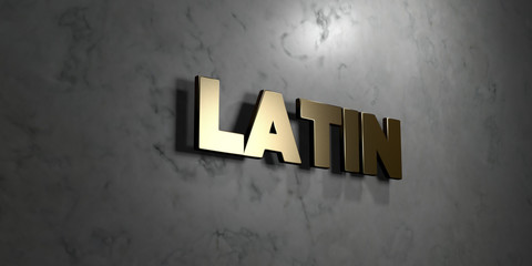 Latin - Gold sign mounted on glossy marble wall  - 3D rendered royalty free stock illustration. This image can be used for an online website banner ad or a print postcard.