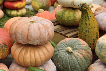 Pumpkins at Halloween and pumpkin market in USA.