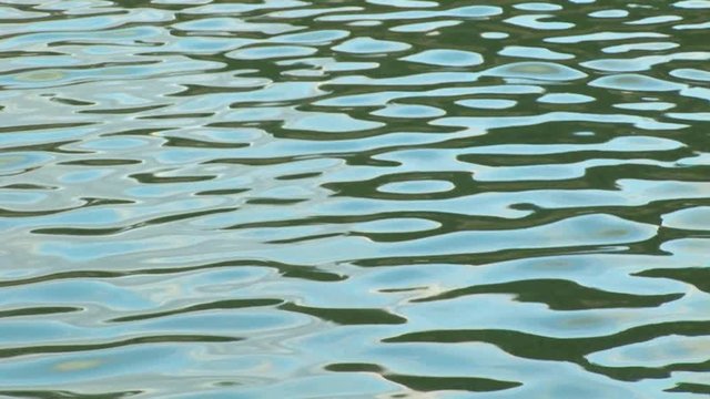 Riflesso verde nel lago