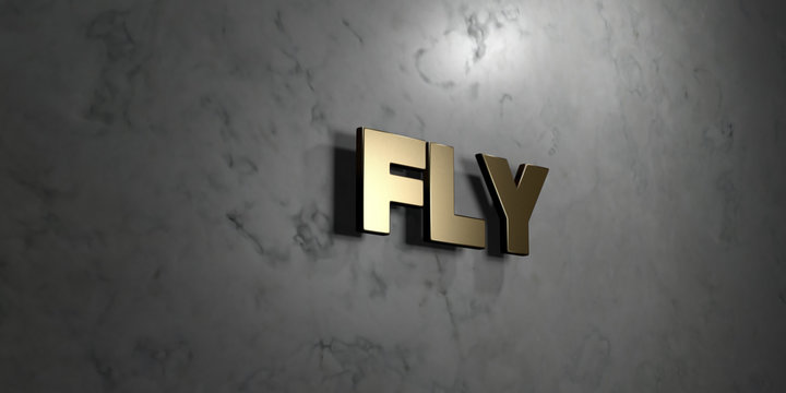 Fly - Gold sign mounted on glossy marble wall  - 3D rendered royalty free stock illustration. This image can be used for an online website banner ad or a print postcard.