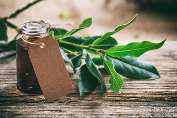 Fresh bay laurel and oil on wooden background
