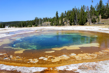 hot spring, yellowstone, USA
