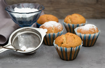Cupcakes sprinkled with powdered sugar.