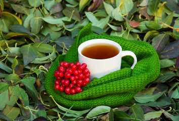 A cup of tea wrapped in a green knitted scarf on the background of autumn leaves. Mug of tea and viburnum bundle of dry fallen leaves. Autumn concept. Winter concept. 