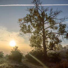 Fototapeta premium fog near lake