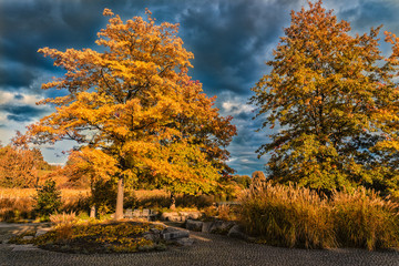 Naklejka premium Herbst