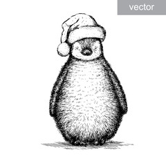 penguin, black and white engrave. Christmas hat. vector