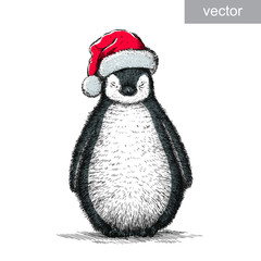 penguin, black and white engrave. Christmas hat. vector