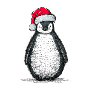 penguin, black and white engrave. Christmas hat.