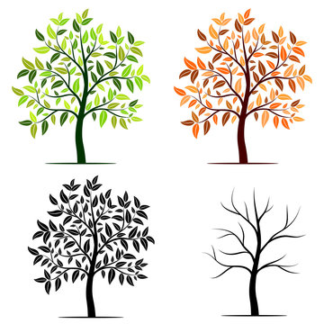 Seasons of tree vector background