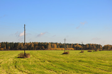 Autumn meadow with telegraph poles