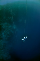 Fototapeta na wymiar Freediver ascending from the depth by breaststroke