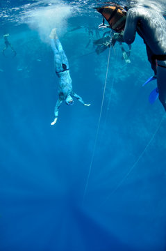 In the beggining of the dive