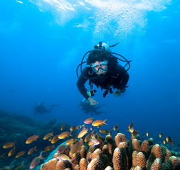 Diver,coral and fish, Raja Ampat. Indonesia.