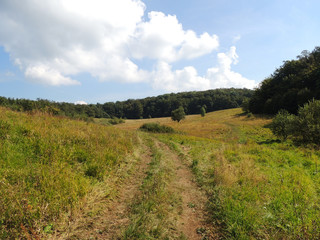 Antalovetska glade in the Carpathians