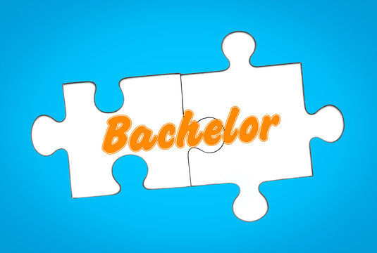 Bachelor auf Puzzleteile