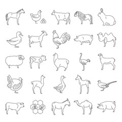 Farm animal thin line collection. 25 icon set. Flat design