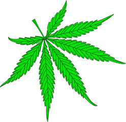 cannabis, cannabis leaf,