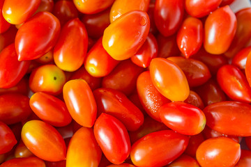 small tomatoes pile close up