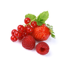 Petits fruits rouges