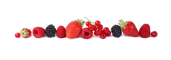 Peel and stick wall murals Fruits Petits fruits rouges