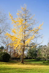 Obraz premium Donosti