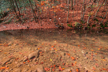 Autumn in carpathian mountains by a river