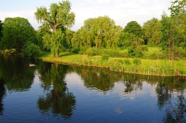 Peaceful pond in Regents Park in London.