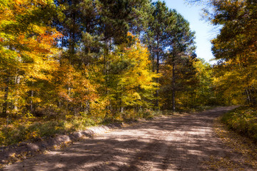 Fototapeta premium A road less traveled