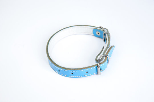 Leather blue dog collar