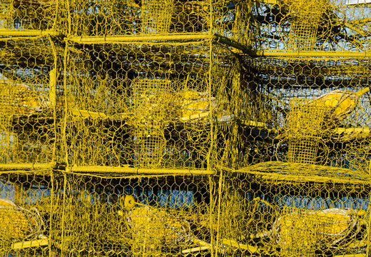 Crab Traps on the Maryland Bay
