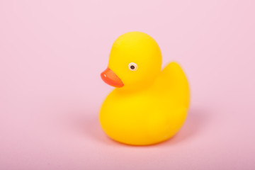 Cute yellow rubber duck on pink background