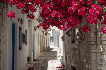 Gasse auf Samos, Griechenland
