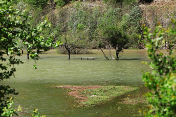 River flood in the valley of mountains
