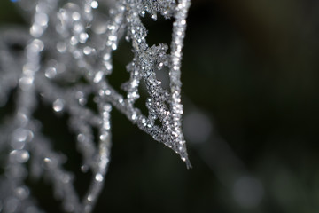 Christmas decoration - macro elements silver decoration