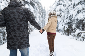 Young Couple Walking In Snow Forest Outdoor Man And Woman Holding Hands Back View Winter Pine Woods